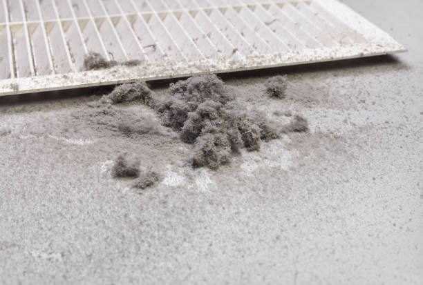 Air Duct Mold Removal in Tipton, MO