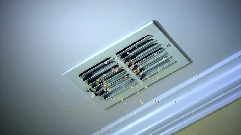 Best Commercial Air Duct Cleaning  in Tipton, MO