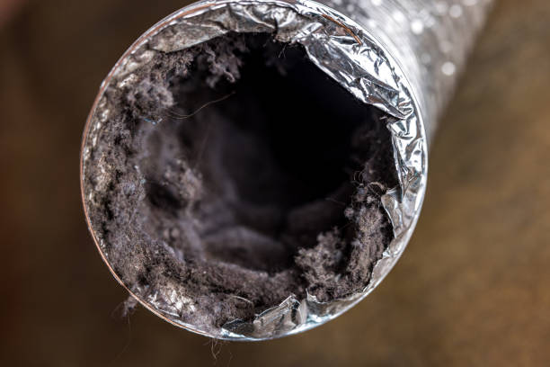 Best Best Air Duct Cleaning Near Me  in Tipton, MO