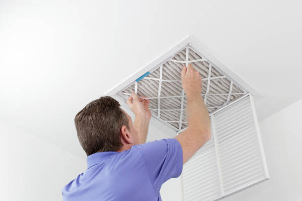 Best Local Air Duct Cleaning Services  in Tipton, MO